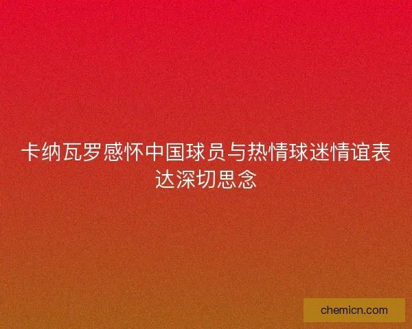卡纳瓦罗感怀中国球员与热情球迷情谊表达深切思念