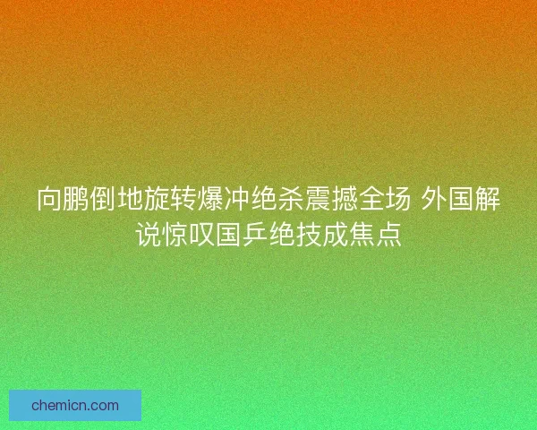 向鹏倒地旋转爆冲绝杀震撼全场 外国解说惊叹国乒绝技成焦点