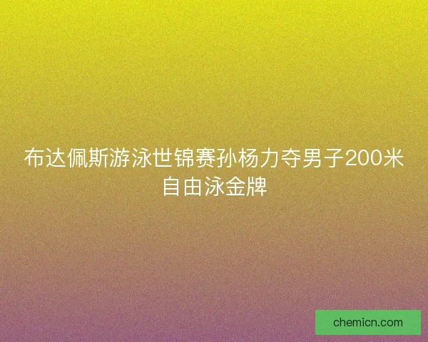 布达佩斯游泳世锦赛孙杨力夺男子200米自由泳金牌 布达佩斯游泳世锦赛孙杨力夺男子200米自由泳金牌